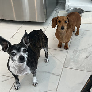 Meet your Posher, Wendy